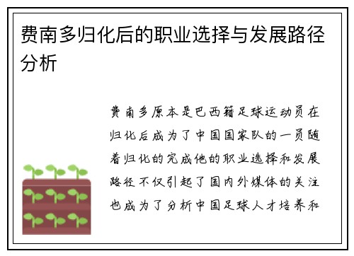 费南多归化后的职业选择与发展路径分析