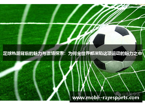 足球热潮背后的魅力与激情探索：为何全世界都深陷这项运动的魅力之中