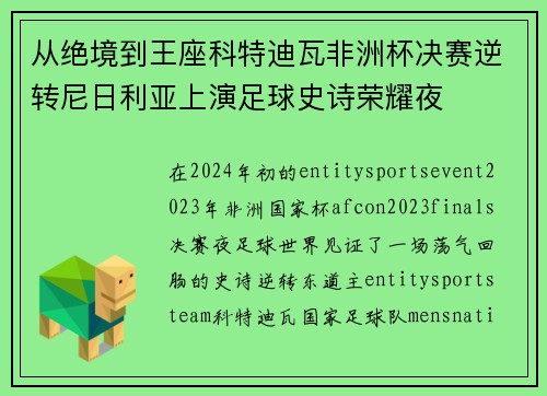 从绝境到王座科特迪瓦非洲杯决赛逆转尼日利亚上演足球史诗荣耀夜